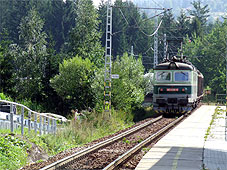 min 305 4.jpg min 305 4.jpg